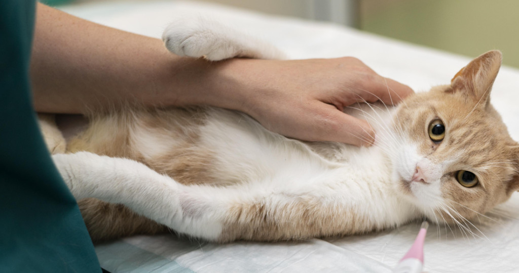 Hormone Testing & Endocrine Panels