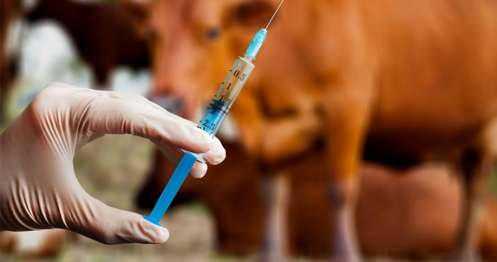 Artificial Insemination Services for Livestock in Fairfield, TX